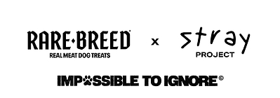 Rare Breed x Stray Project Impossible to Ignore Campaign Logo 