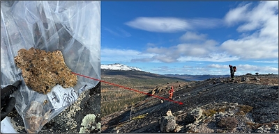 Figure 3: Newly identified well exposed outcrop consisting of potassium feldspar, arfvedsonite (Na-amphibole), and quartz-bearing medium-grained peralkaline granite sampled along strike of the Gibson Lake showings. The Gibson Lake showings include seven samples ranging from 0.5% to 14% total REE plus Zr, Nb, and Hf.