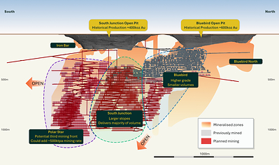 Figure 4: Schematic Long Section of the Bluebird Mine Figure 4: Schematic Long Section of the Bluebird Mine