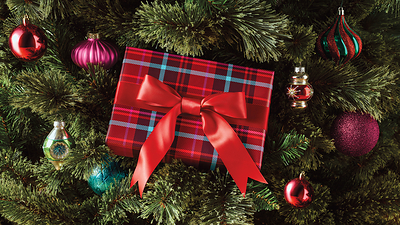 A festive Christmas tree featuring colorful ornaments                                               and a red-and-blue plaid wrapped gift.