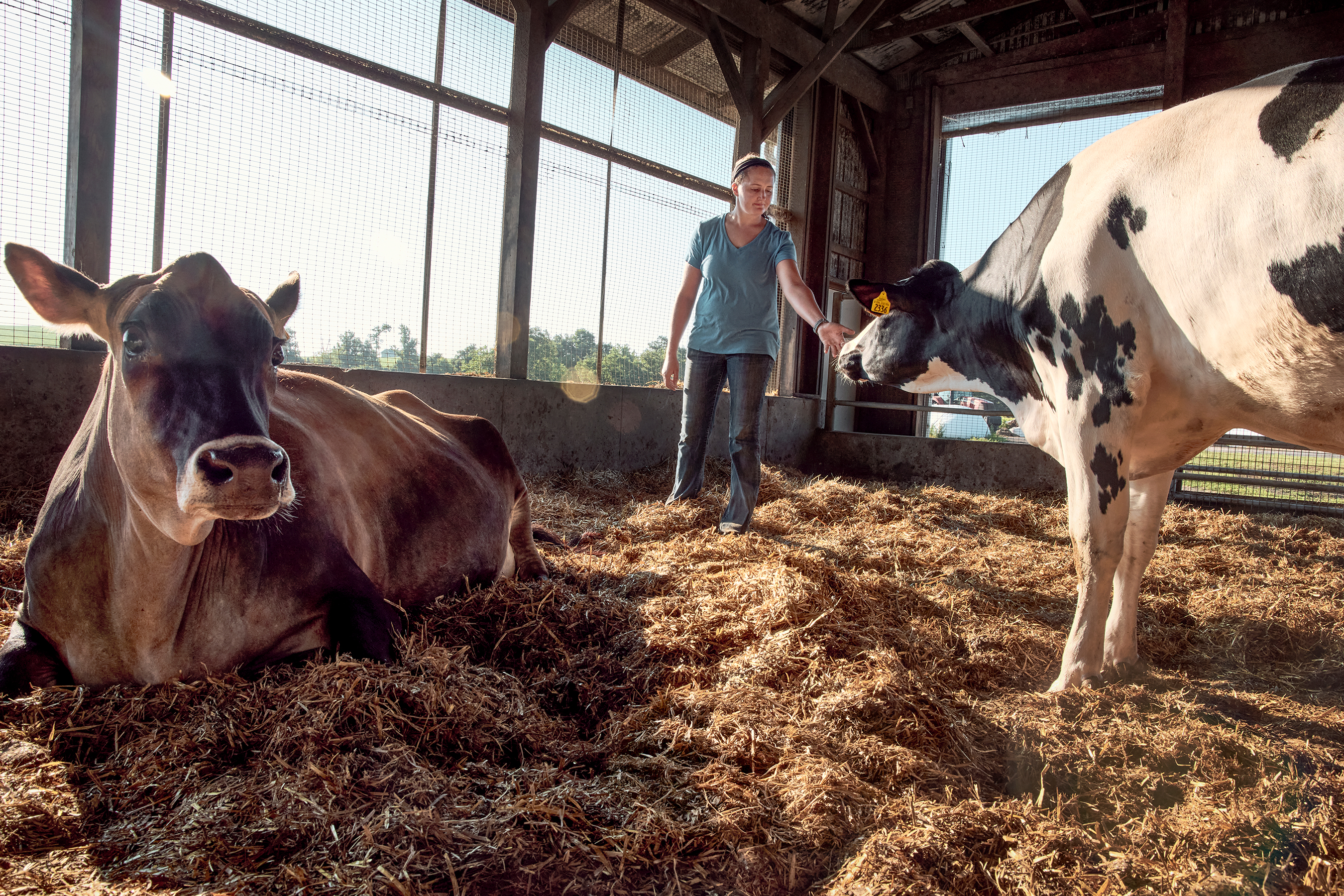Jaylene Lesher grew up learning to care for the herd and now helps guide Way-Har's genetics and breeding program, making decisions that will influence the herd for generations to come.
