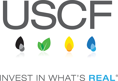 USCF Logo