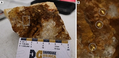 Figure 1: Quartz vein sample from the North Vein Target containing visible gold (A; scale in centimetres). The boxed area is enlarged in B, with gold grains circled.