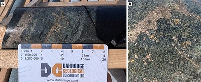 Figure 1: Drill core from ML26 005 at 33.4 metres downhole, showing visible gold (circled) in a narrow sulphide- and diopside-rich calc-silicate shear, at the margin of a pyrrhotite–pyrite–quartz–chalcopyrite stockwork vein (A; scale in centimetres). B: closer view of the visible gold in a separate photograph, with gold grains circled. Figure 1: Drill core from ML26 005 at 33.4 metres downhole, showing visible gold (circled) in a narrow sulphide- and diopside-rich calc-silicate shear, at the margin of a pyrrhotite–pyrite–quartz–chalcopyrite stockwork vein (A; scale in centimetres). B: closer view of the visible gold in a separate photograph, with gold grains circled.